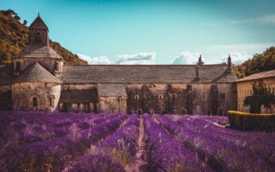 Les secrets de la Provence : Un guide pour explorer ce trésor Méditerranéen