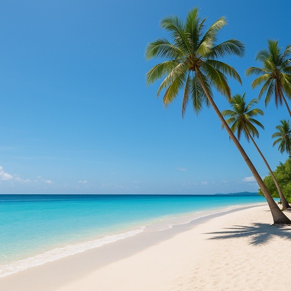 Plage paradisiaque en Malaisie avec sable blanc immaculé, palmiers tropicaux et eau turquoise cristalline idéale pour des vacances exotiques.