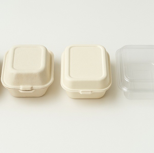 Alternatives écologiques au clamshell plastique avec carton renforcé, fibres moulées, PLA compostable et barquette transparente.
